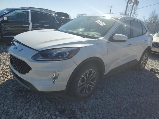 Obraz 2022 FORD ESCAPE SEL 2022