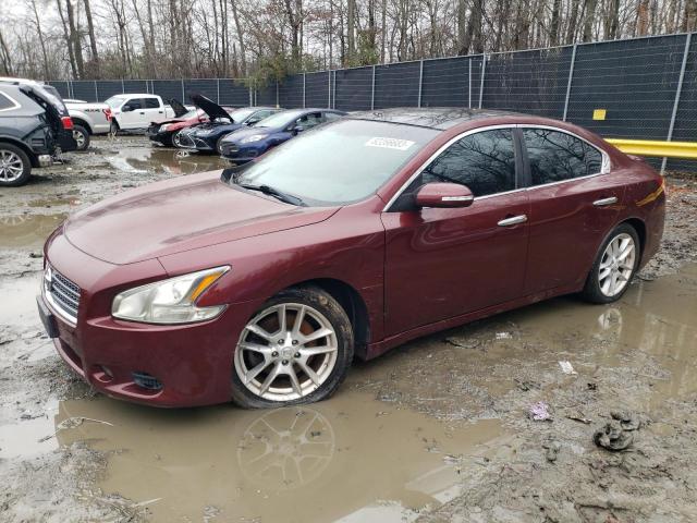 2011 NISSAN MAXIMA S 2011 image