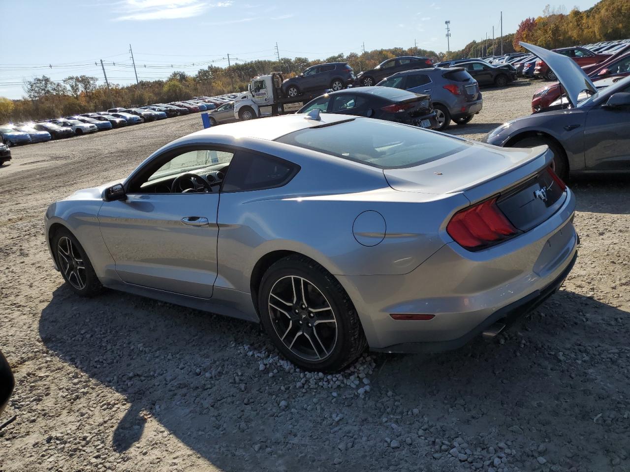 Image 2 of 2020 FORD MUSTANG  2020 with VIN 1FA6P8TH0L5177537