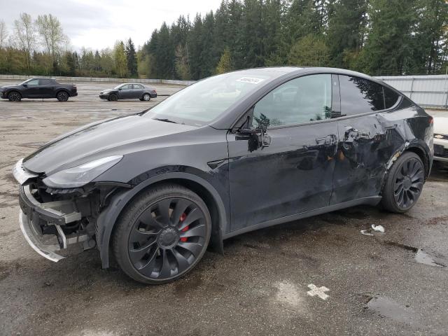 2022 TESLA MODEL Y  2022 image