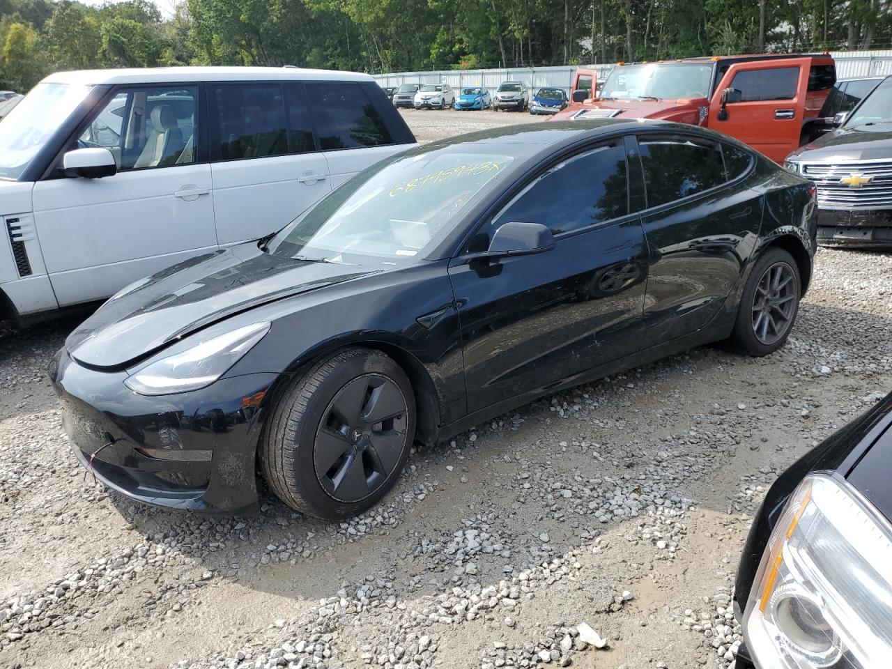 2022 TESLA MODEL 3  2022 image
