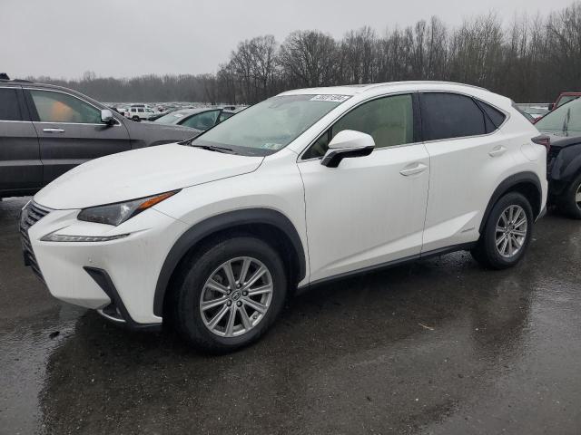 2018 LEXUS NX 300H 2018 image