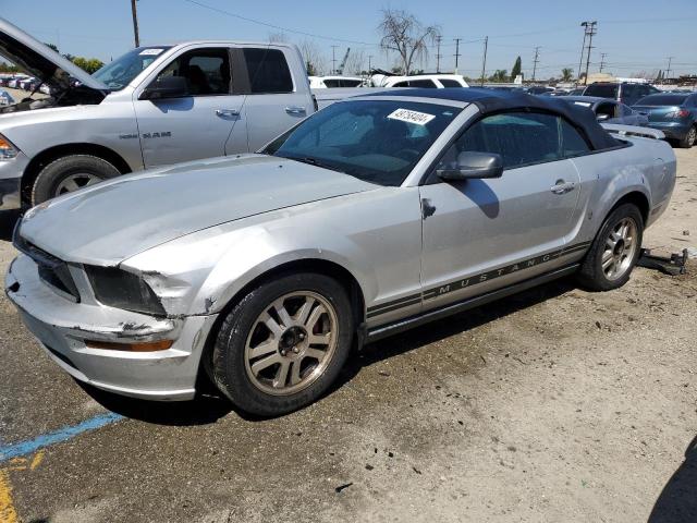 2005 FORD MUSTANG  2005 image