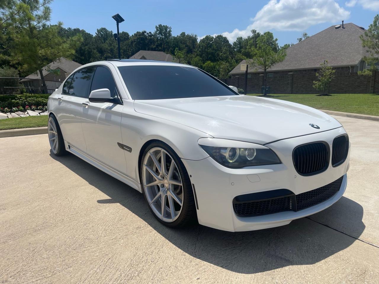 2010 BMW 750 LI 2010 image