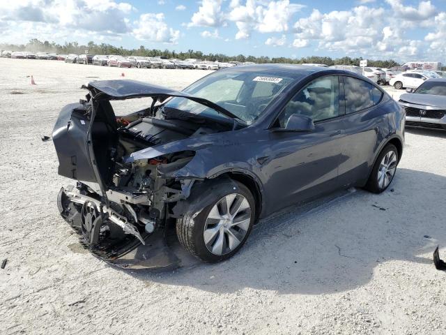 2023 TESLA MODEL Y  2023 image