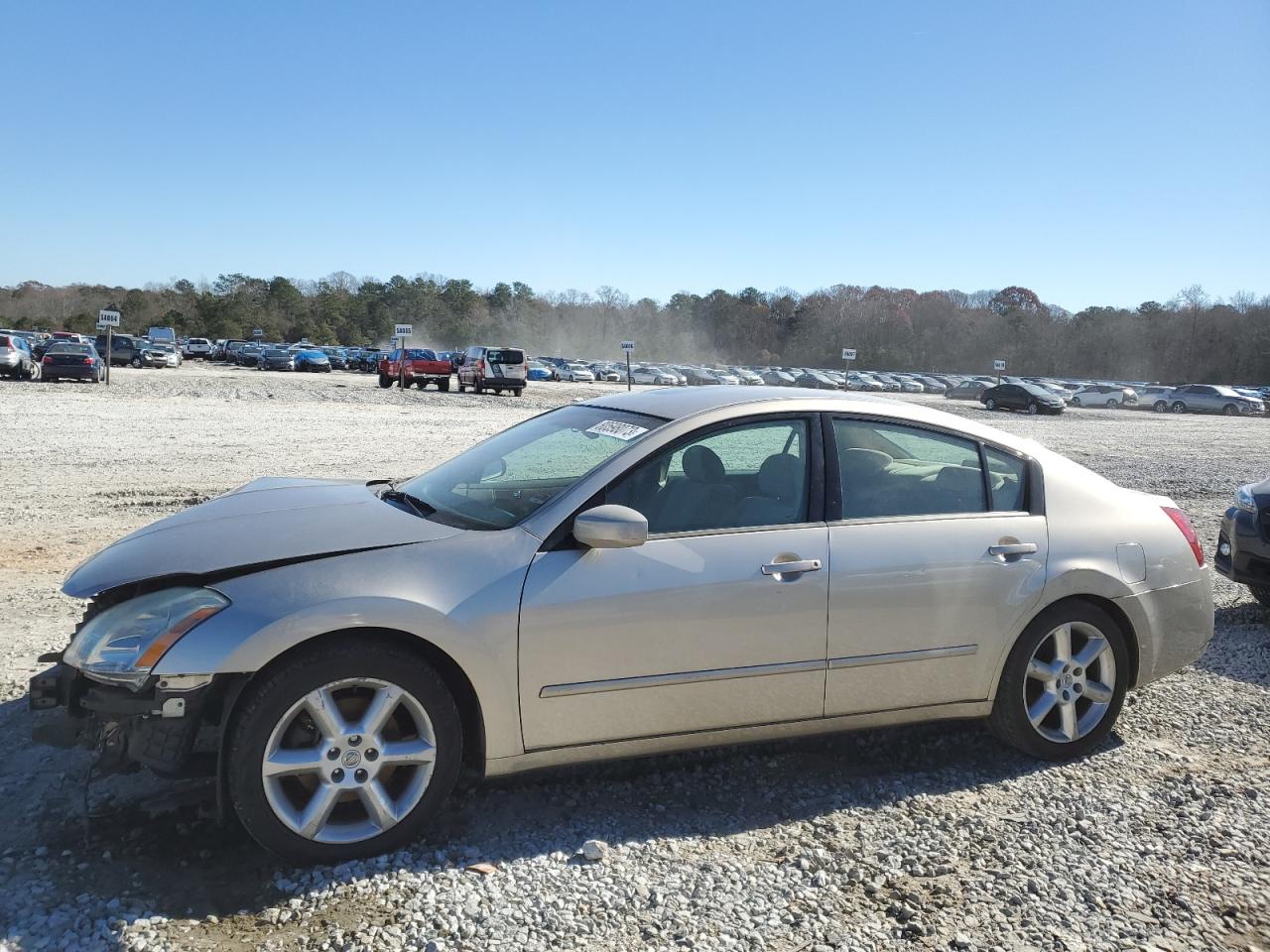 Image 1 of 2005 NISSAN MAXIMA SE 2005 with VIN 1N4BA41E05C826785