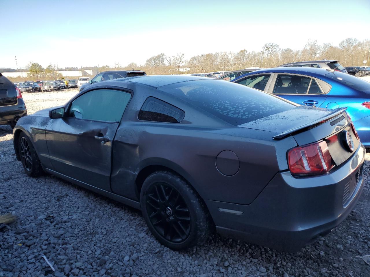 Obraz 2 z 2014 FORD MUSTANG  2014 z VIN 1ZVBP8AM3E5253406