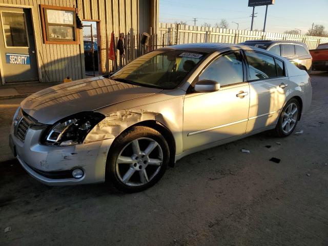 2004 NISSAN MAXIMA SE 2004 image