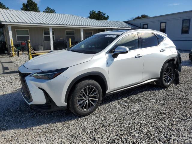 Obraz 2022 LEXUS NX 250 2022