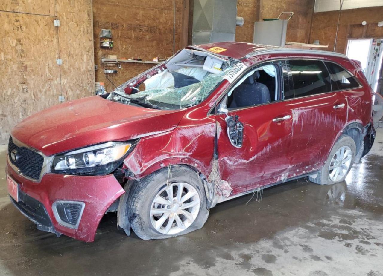 Изображение 1 2016 KIA SORENTO LX 2016 с VIN 5XYPGDA52GG156489