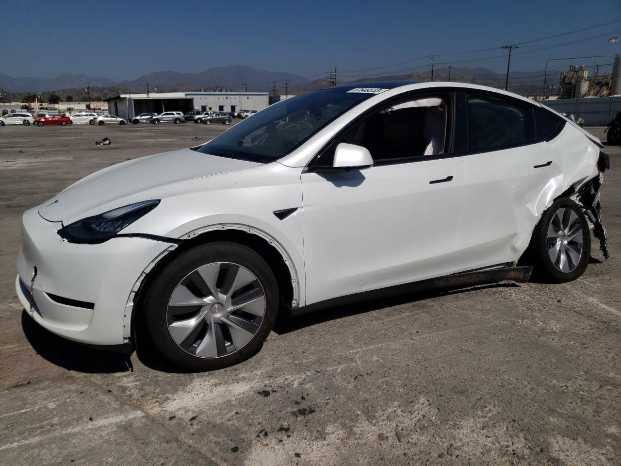 2023 TESLA MODEL Y  2023 image