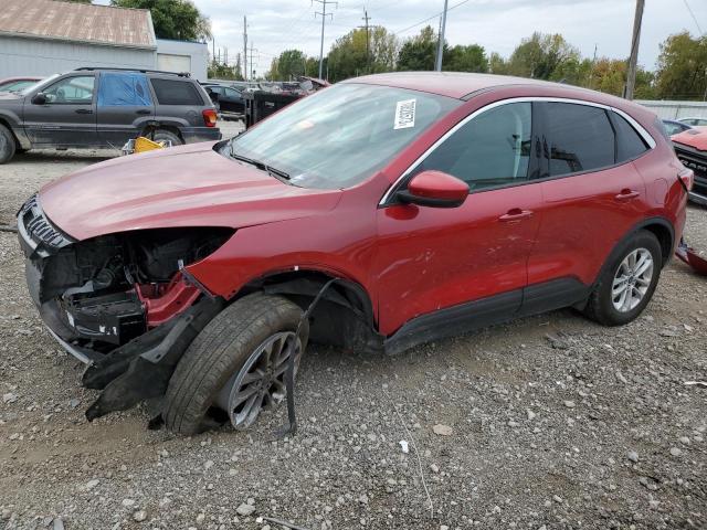 2021 FORD ESCAPE SE 2021 image
