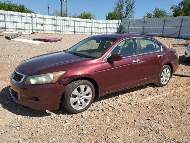 2008 HONDA ACCORD EXL 2008 image