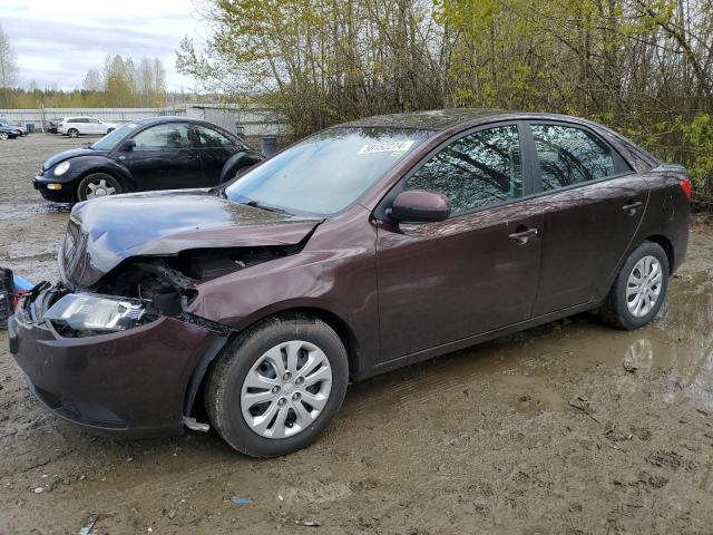 Obraz 2011 KIA FORTE EX 2011
