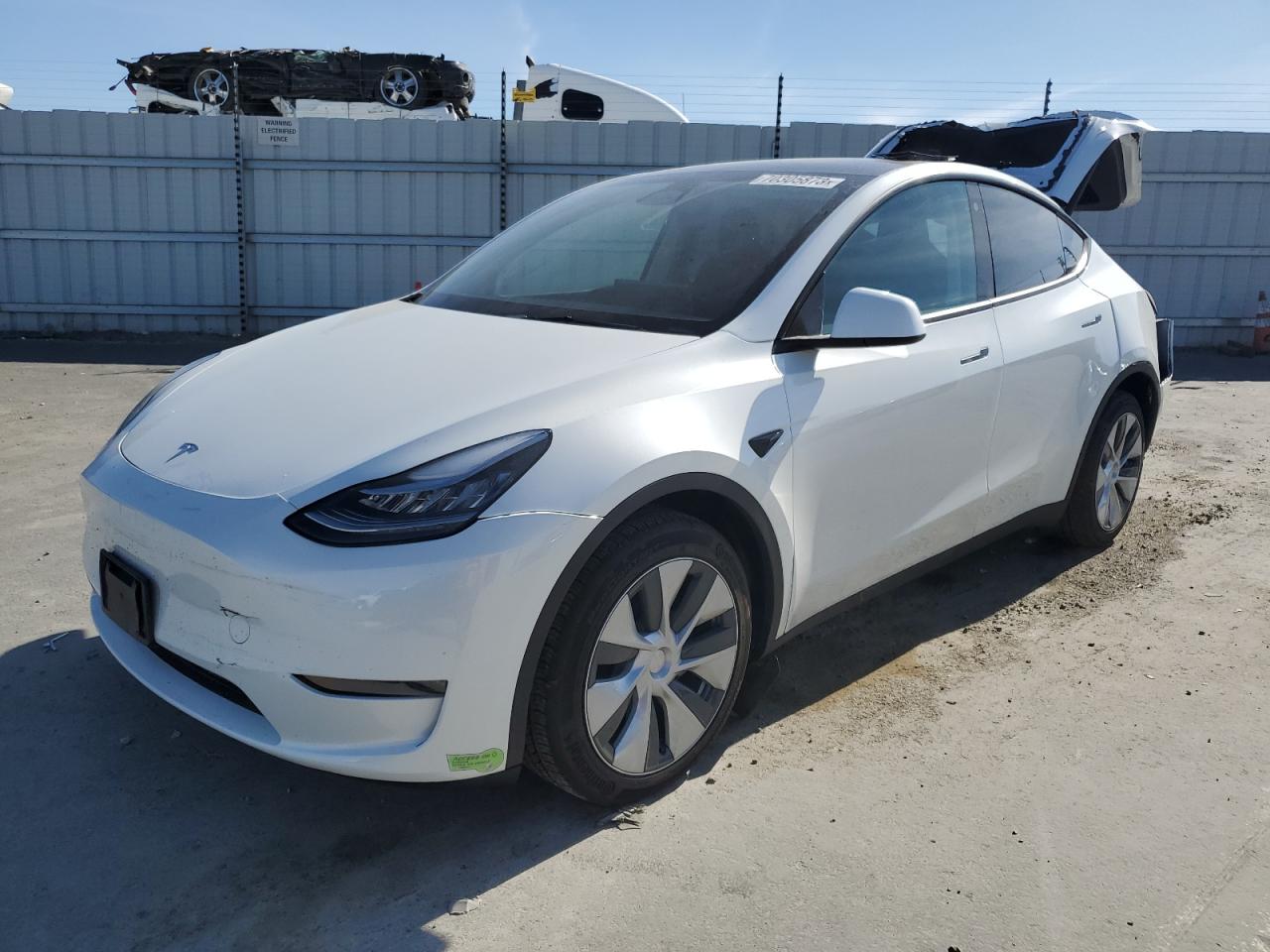 2023 TESLA MODEL Y  2023 image