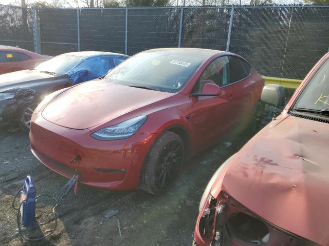 2021 TESLA MODEL Y  2021 image