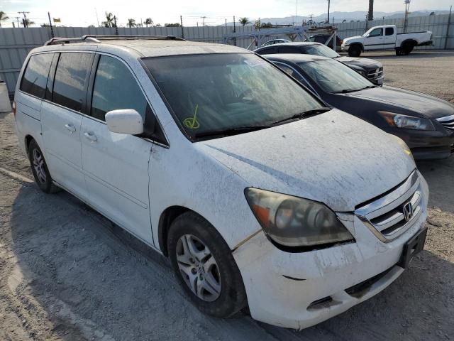 Image 1 of 2005 HONDA ODYSSEY EXL 2005 with VIN 5FNRL38715B125535