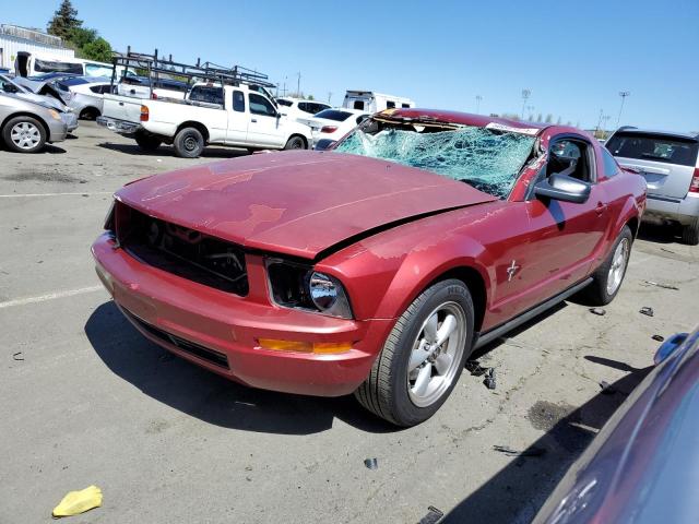 2007 FORD MUSTANG  2007 image