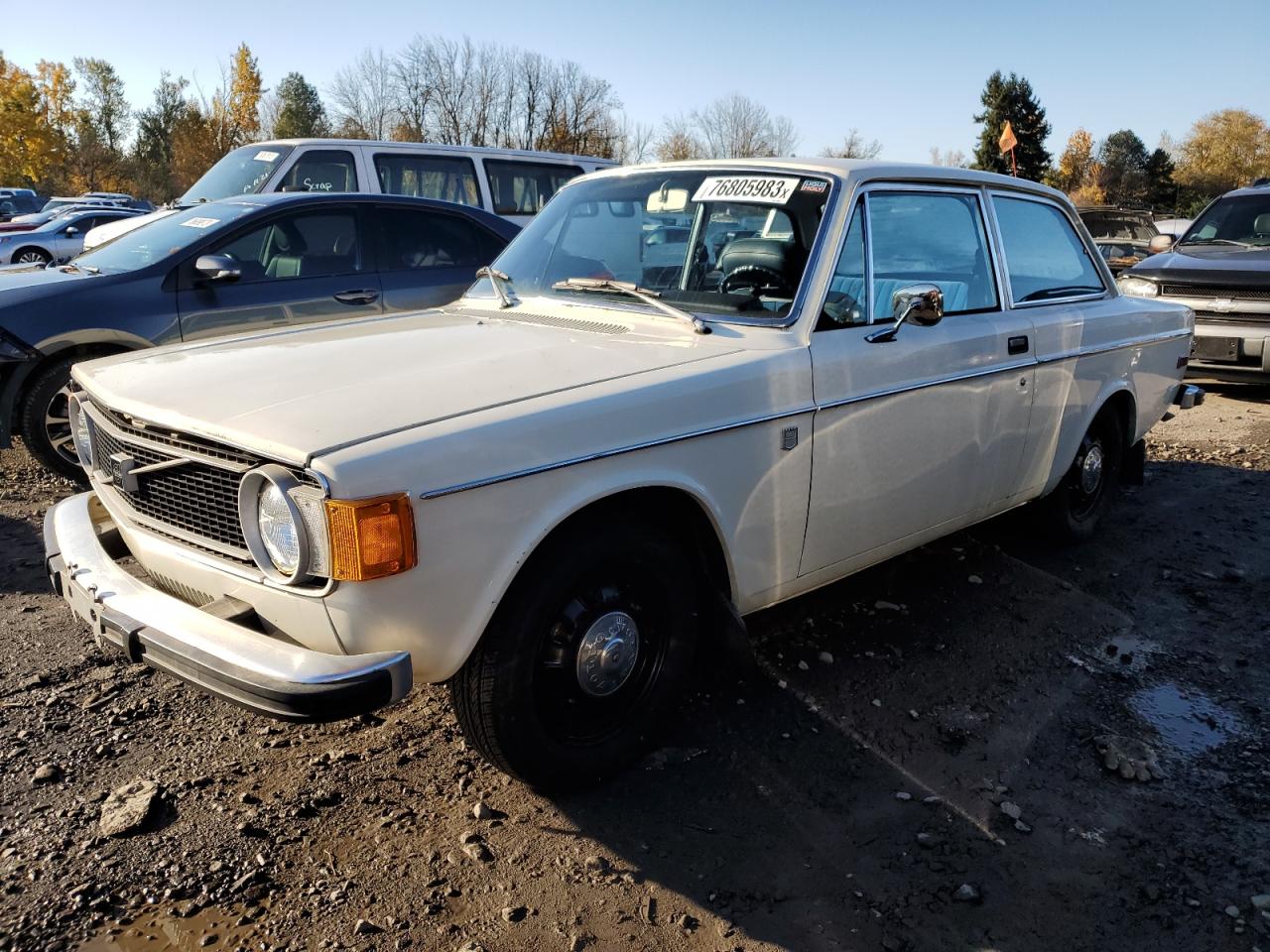 Obraz 1973 VOLVO                       142 1973