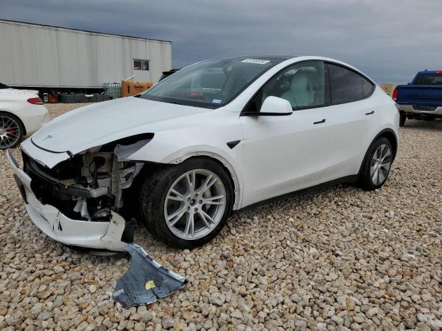 2023 TESLA MODEL Y  2023 image