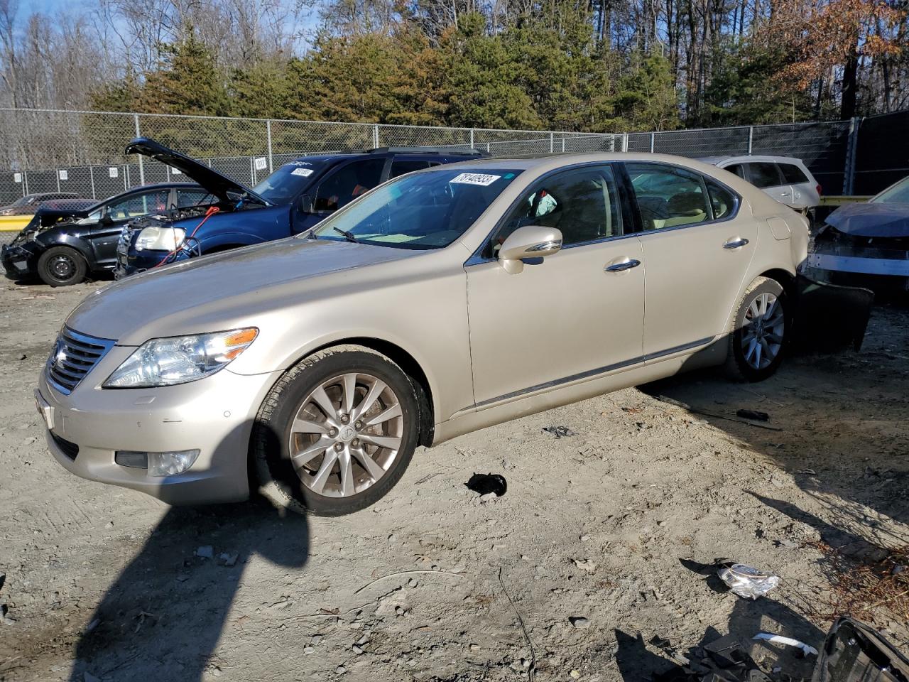 Obraz 2011 LEXUS LS 460 2011