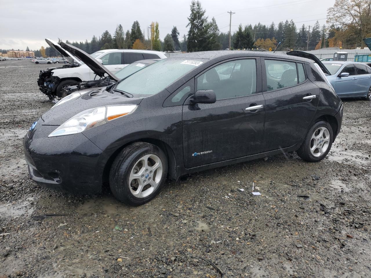 Obraz 2013 NISSAN LEAF S 2013