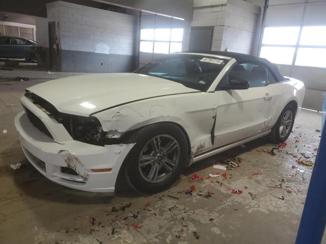 2013 FORD MUSTANG  2013 image