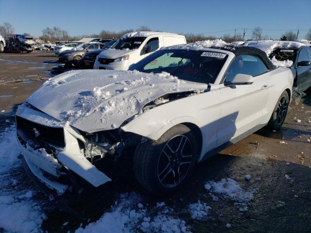 2021 FORD MUSTANG  2021 image