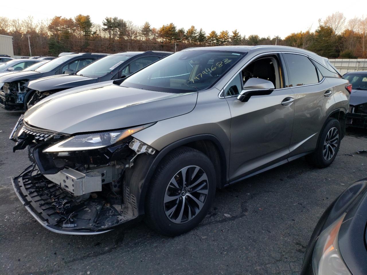 Изображение 2020 LEXUS RX 350 2020