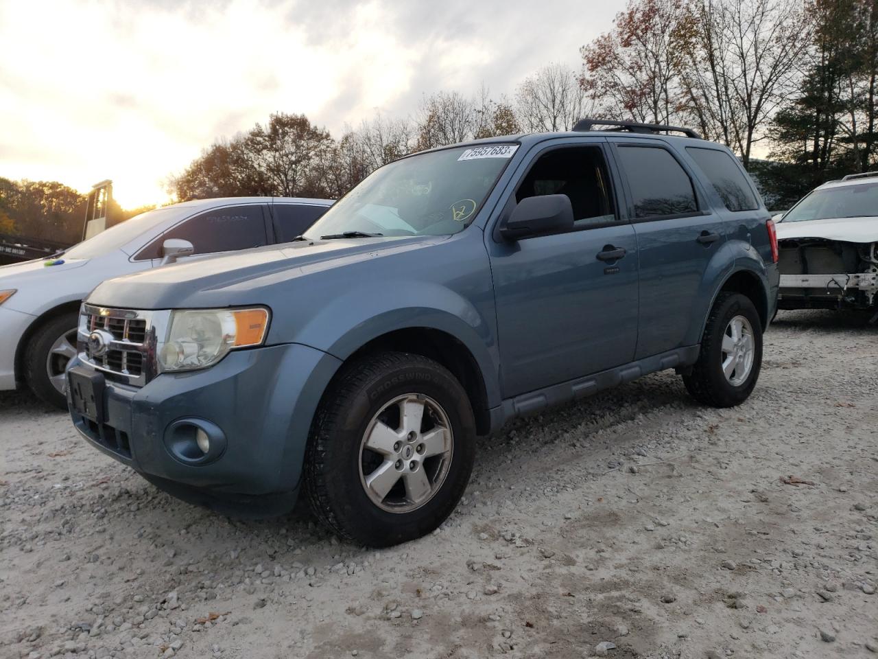 2010 FORD ESCAPE XLT 2010 image