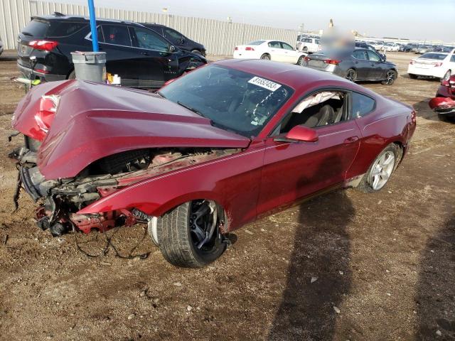 2015 FORD MUSTANG  2015 image