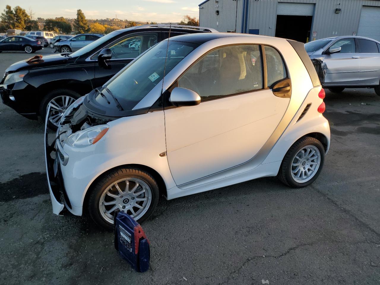 Obraz 2014 SMART FORTWO  2014