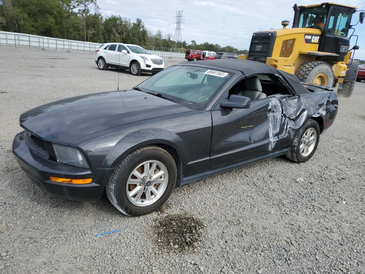 2007 FORD MUSTANG  2007 image