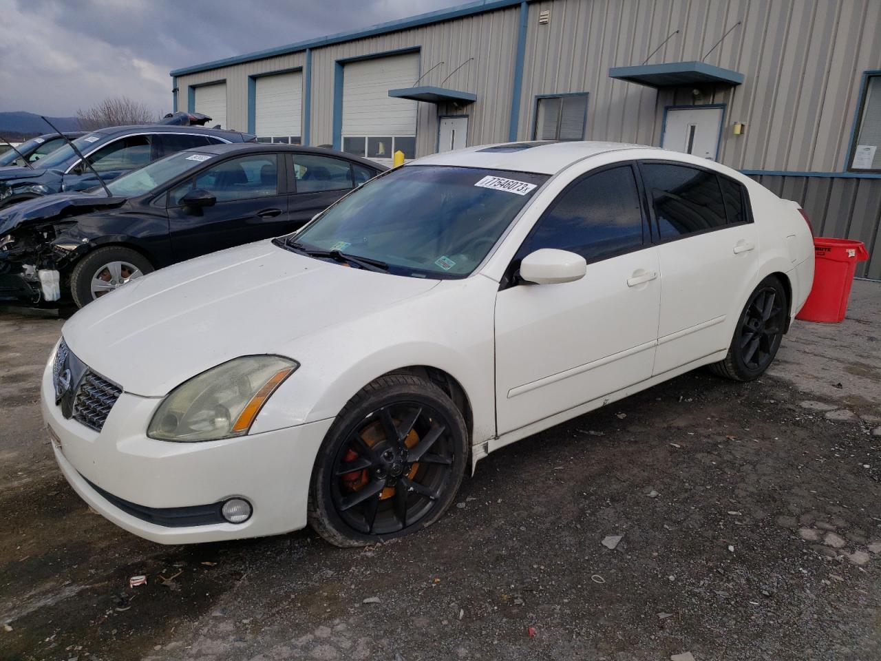 2005 NISSAN MAXIMA SE 2005 image
