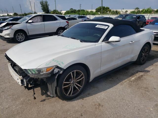 2017 FORD MUSTANG  2017 image