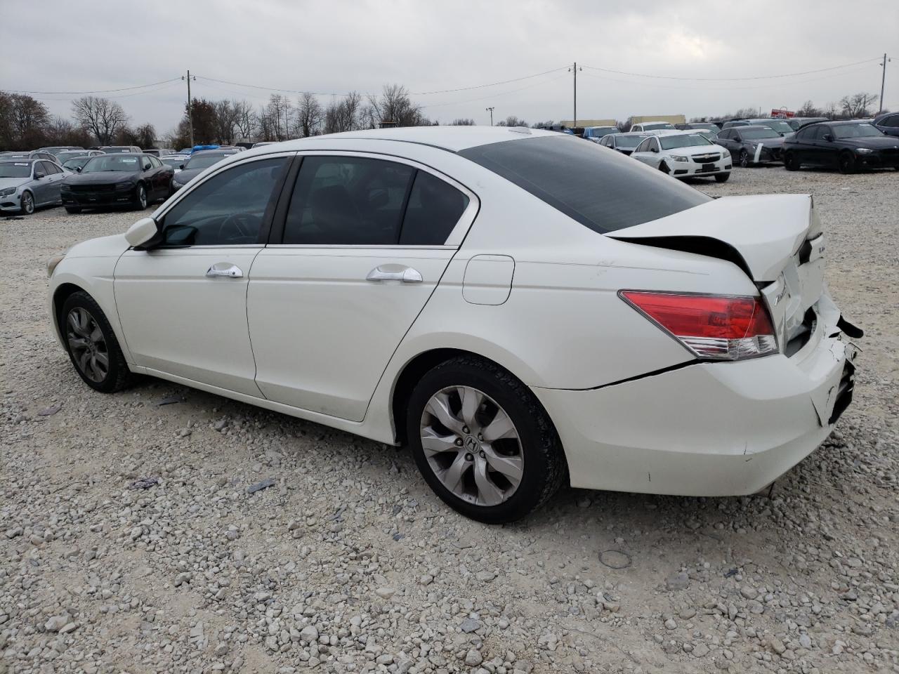 Изображение 2 2008 HONDA ACCORD EXL 2008 с VIN 1HGCP36888A069498