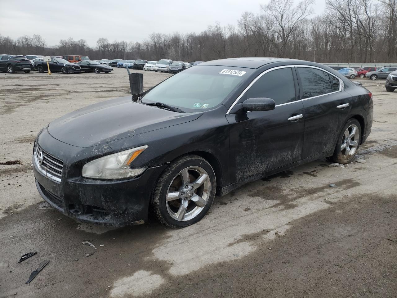 Изображение 2009 NISSAN MAXIMA S 2009