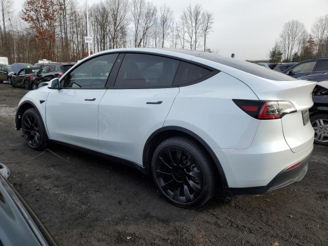 Image 2 of 2023 TESLA MODEL Y  2023 with VIN 7SAYGAEE7PF671446