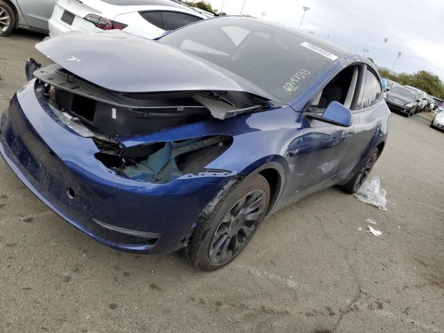 2023 TESLA MODEL Y  2023 image