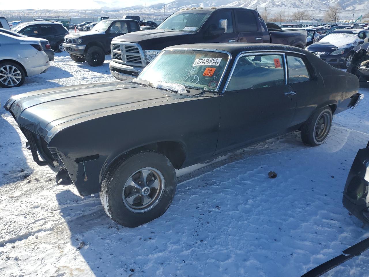 1973 CHEVROLET NOVA 1973 image