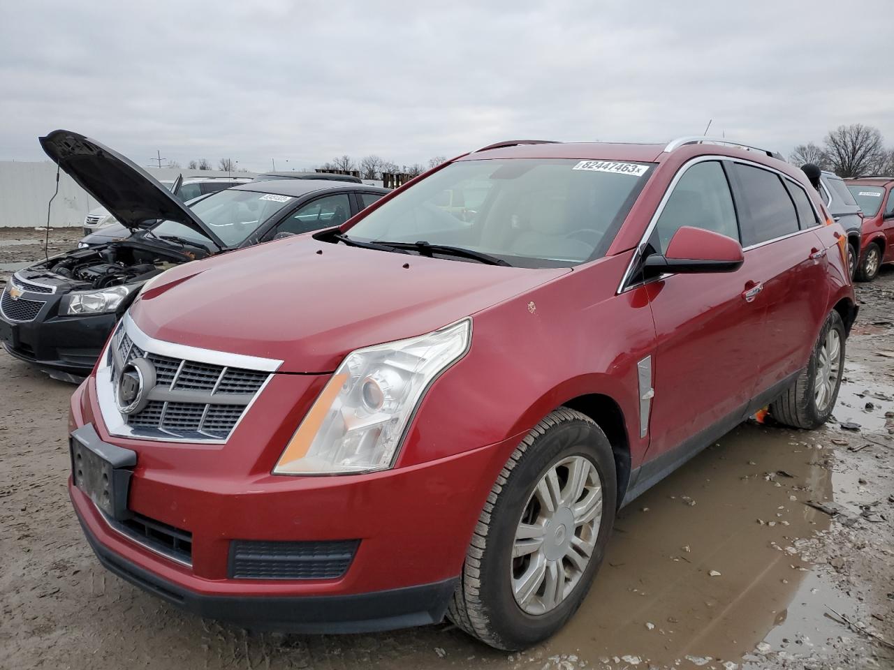 Image 1 of 2012 CADILLAC SRX LUXURY COLLECTION 2012 with VIN 3GYFNDE32CS559515