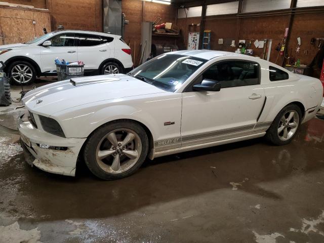 Obraz 1 z 2007 FORD MUSTANG GT 2007 z VIN 1ZVHT82H675360878
