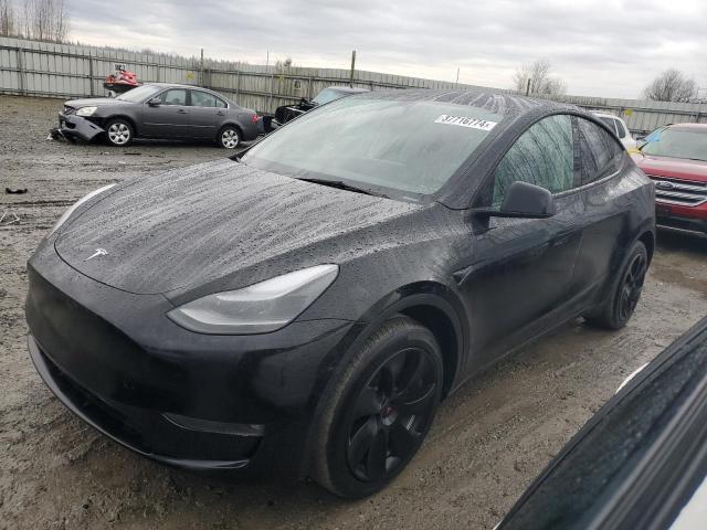 2023 TESLA MODEL Y  2023 image