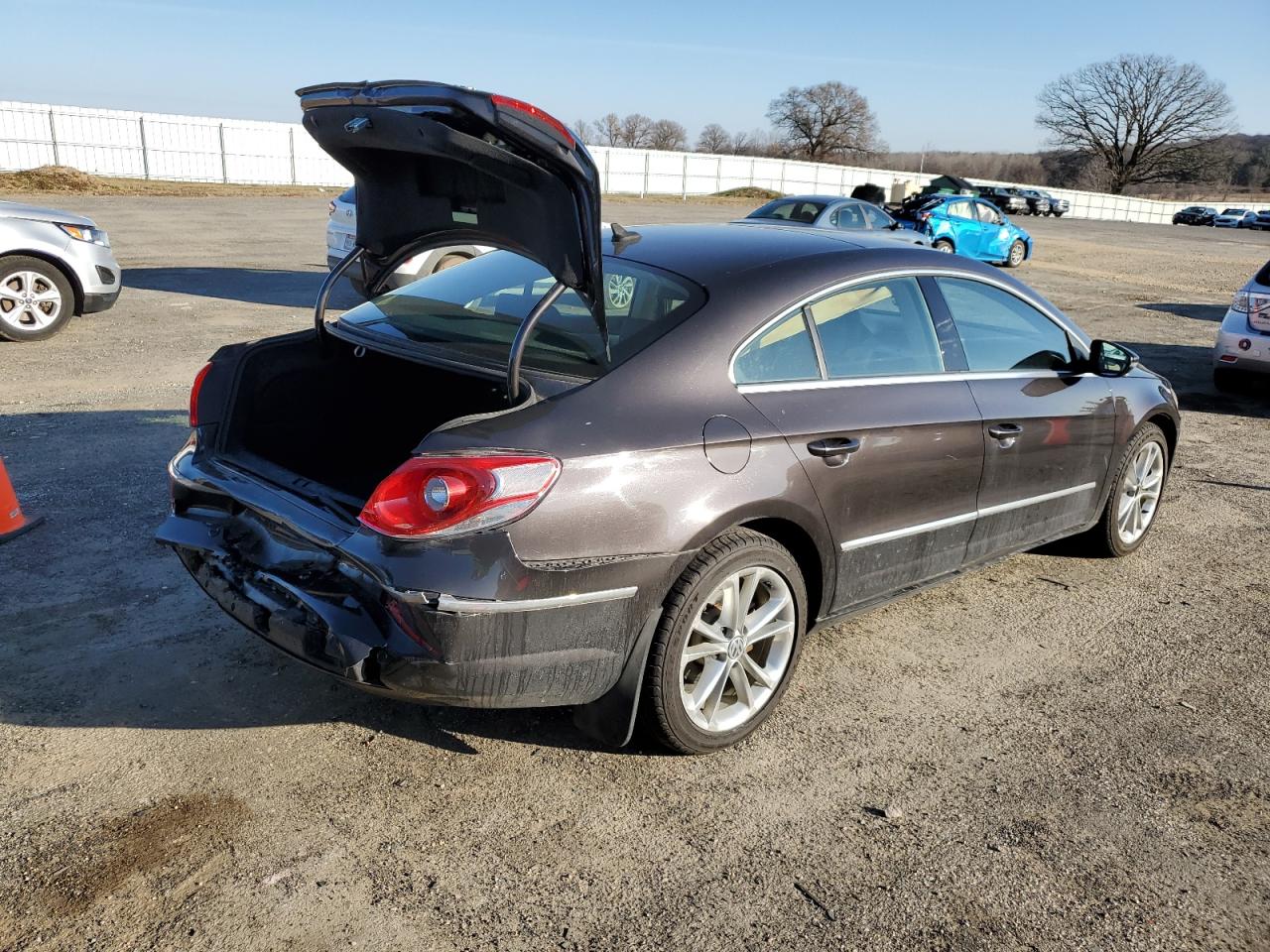 Изображение 3 2010 VOLKSWAGEN CC LUXURY 2010 с VIN WVWHN7AN1AE541117