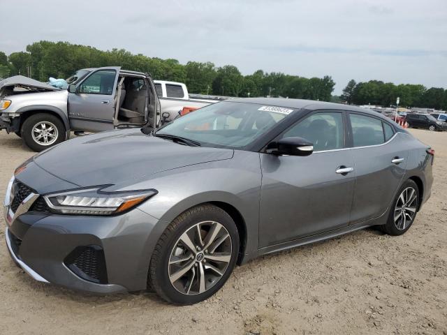 2023 NISSAN MAXIMA SV 2023 image