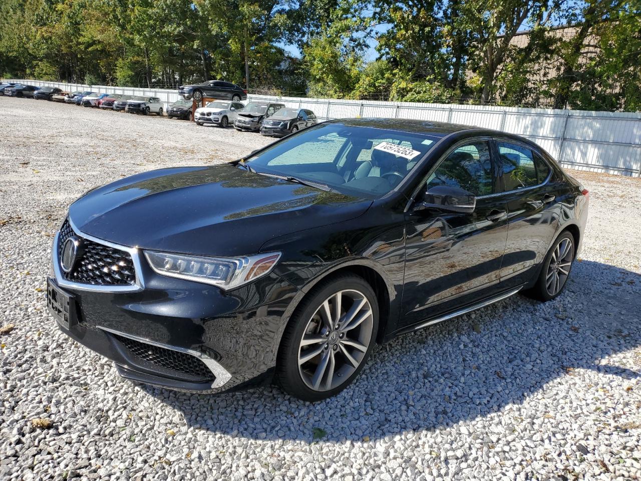 2019 ACURA TLX TECHNOLOGY 2019 image