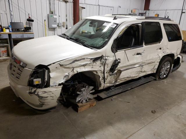2007 CADILLAC ESCALADE LUXURY 2007 image