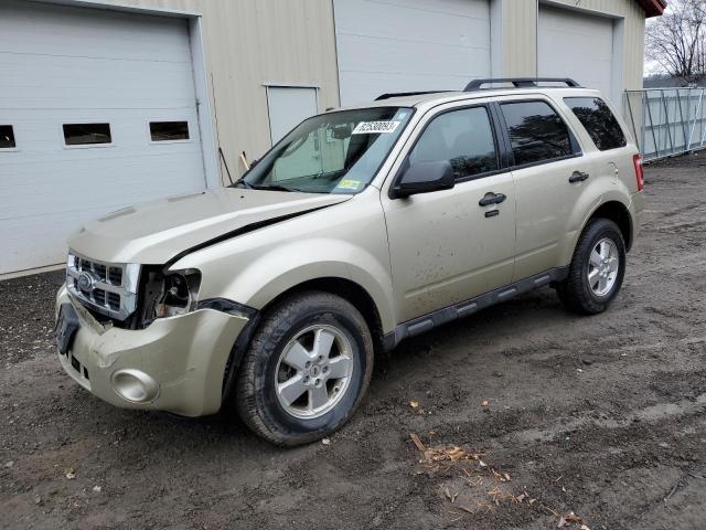 Image 1 of 2012 FORD ESCAPE XLT 2012 with VIN 1FMCU0D73CKA13449