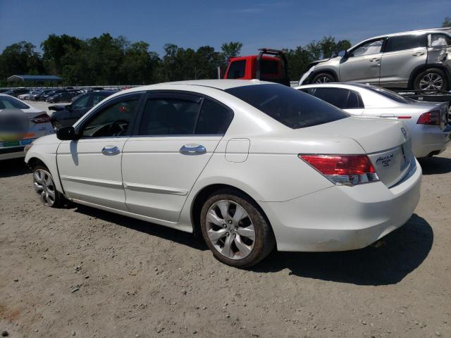 Image 2 of 2010 HONDA ACCORD EXL 2010 with VIN 1HGCP3F81AA016888