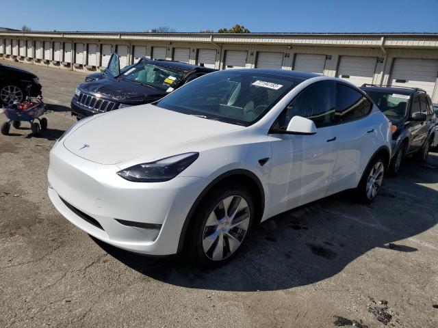 2023 TESLA MODEL Y  2023 image